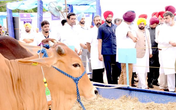 S. Bhagwant Mann, Chief Minister visiting Pashu palan Mela on Dated 23-09-2022